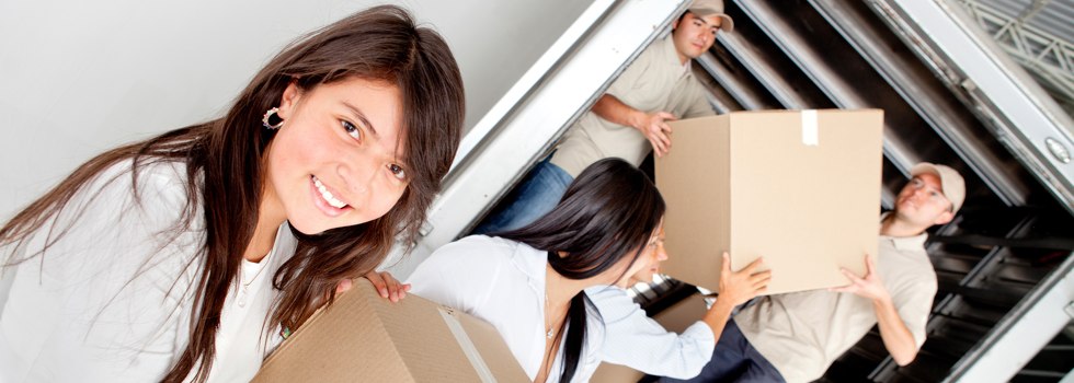 Professional Removalists Newcastle West